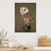 Barn Owl Poster by cARTerART ポスター (Kitchen)