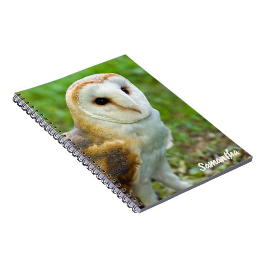 Barn Owl Spiral notebook ノートブック (右側)