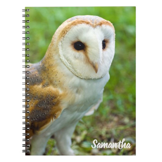 Barn Owl Spiral notebook ノートブック (正面)