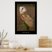 Barn Owl (Tyto alba). Poster ポスター (キッチン)