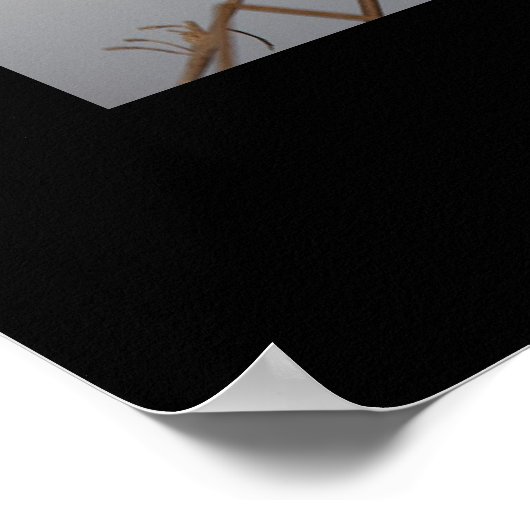 Barn Owl (Tyto alba). Poster by cARTerART ポスター (角)