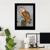 Barn Owl (Tyto alba). Poster by cARTerART ポスター (ホームオフィス)