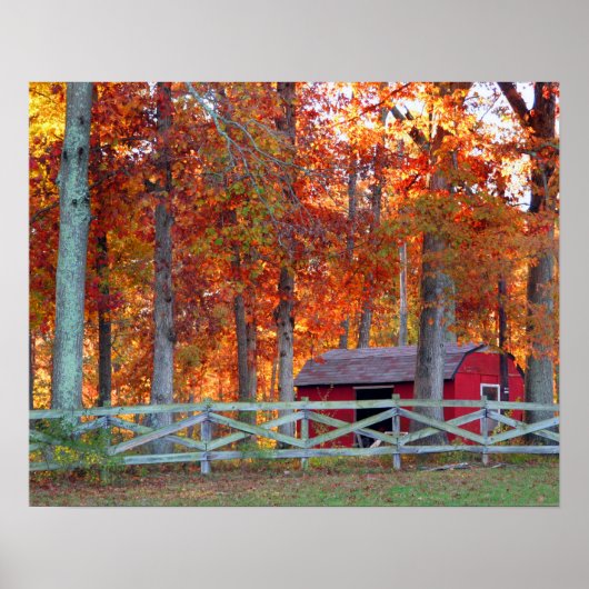 Barn Print ポスター (正面)