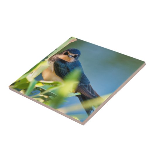 Barn swallow タイル (側面)