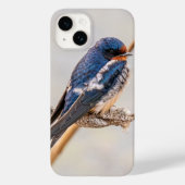 Barn Swallow Blue Bird Photography，カナダ Case-Mate iPhoneケース (裏面)