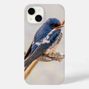 Barn Swallow Blue Bird Photography,カナダ Case-Mate iPhone 14ケース