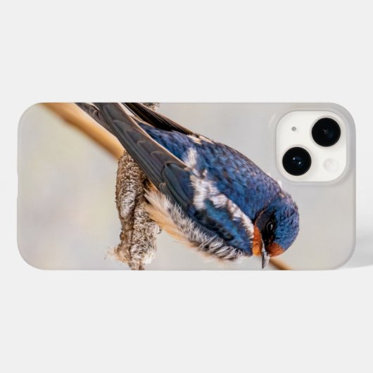 Barn Swallow Blue Bird Photography,カナダ Case-Mate iPhoneケース (裏面 (横))