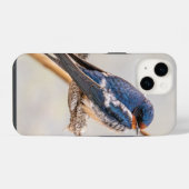 Barn Swallow Blue Bird Photography,カナダ iPhoneケース (裏面横)