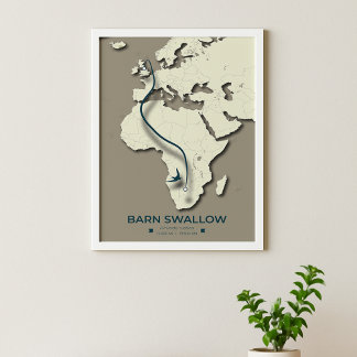 Barn Swallow Migration Map – Minimalist Vintage ポスター