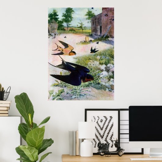 Barn Swallows Fly Around Old Outbuildings ポスター (ホームオフィス)