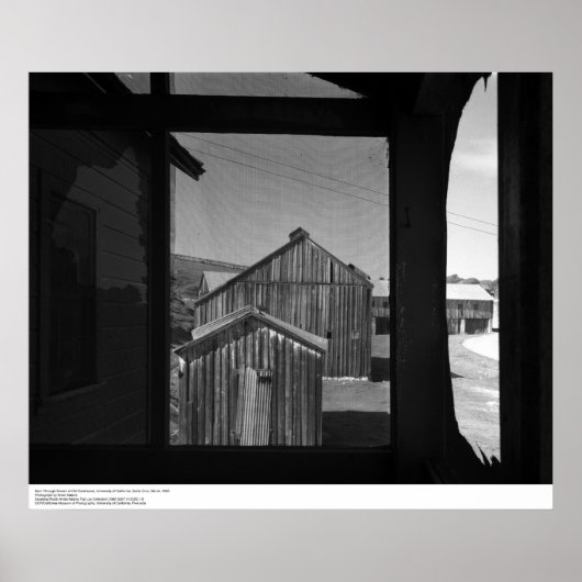 Barn through Screen of Old Cookhouse, 1962 ポスター (正面)