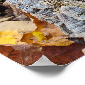 Barnacleツリー・ログ ポスター (角)