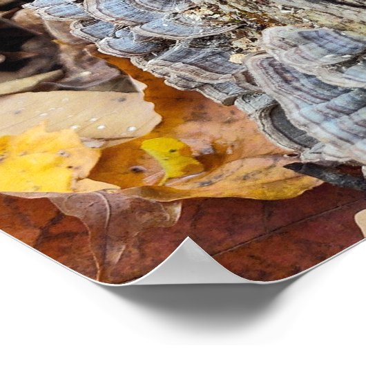 Barnacleツリー・ログ ポスター (角)