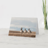 Barnacle Geese自然写真 カード (正面)