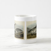 Barnacle Goose – アメリカのオードボンの鳥から コーヒーマグカップ (中央)