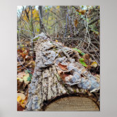 Barnacle Tree Log ポスター (正面)