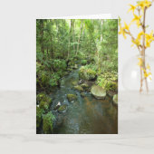 「Barnum Brook」アディロンドラックの森と木のシーン カード (黄色い花)