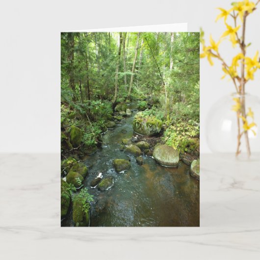 「Barnum Brook」アディロンドラックの森と木のシーン カード (黄色い花)