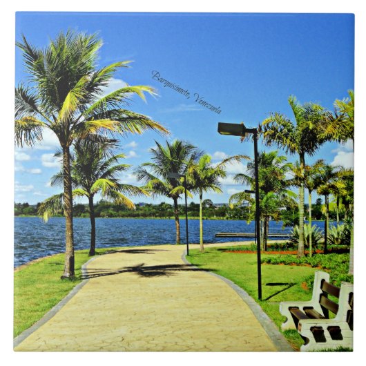 Barquisimeto, Venezuela scenic photograph タイル (正面)