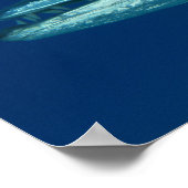 Barracuda Poster ポスター (角)