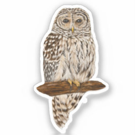 Barred Owl シール