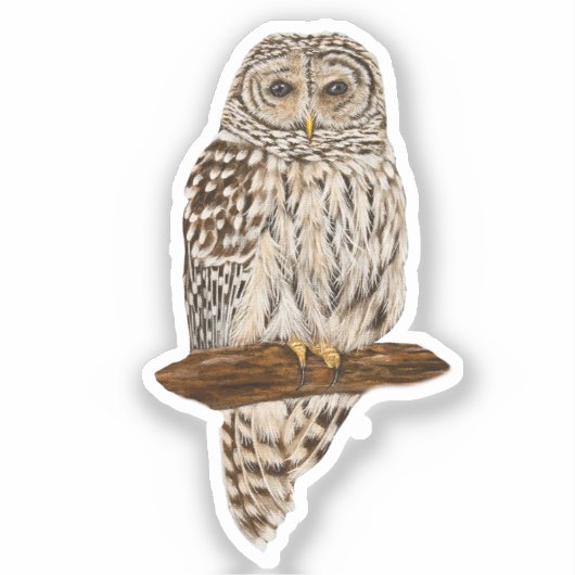 Barred Owl シール (正面)