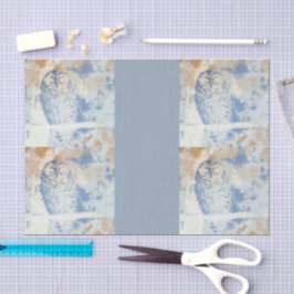 Barred Owl edit 薄葉紙