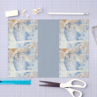 Barred Owl edit 薄葉紙