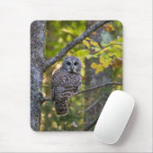 Barred Owl in Fall | Alger County, MI マウスパッド (マウス)