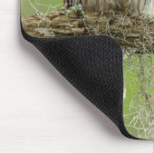 Barred Owl On Tree Limb マウスパッド (コーナー)