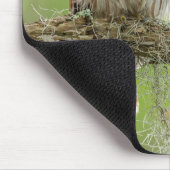 Barred Owl On Tree Limb マウスパッド (コーナー)