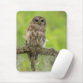 Barred Owl On Tree Limb マウスパッド (マウス)