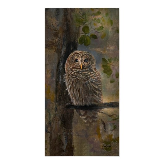 Barred Owl Painting 14 x 28 ポスター (正面)