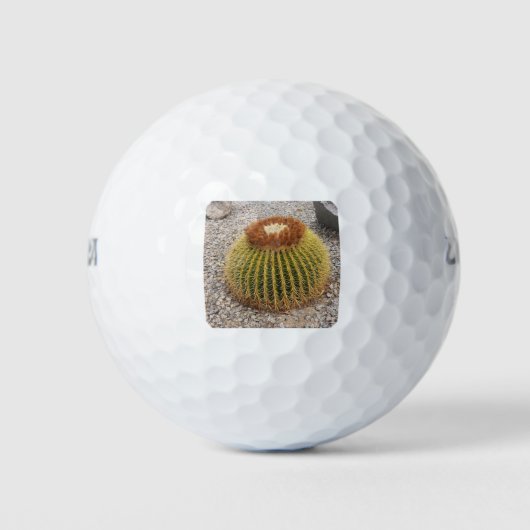 Barrel Cactus ゴルフボール (正面)