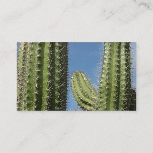 Barrel Cactus I Desert Photo 名刺 (裏面)