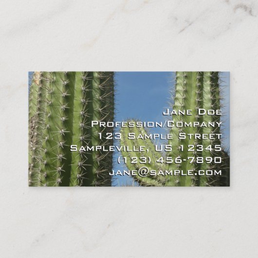 Barrel Cactus I Desert Photo 名刺 (正面)