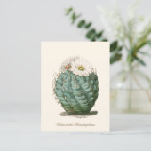 Barrel Cactus White Flower ポストカード (スタンド正面)