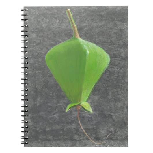 Barringtonia Acutangula ノートブック (正面)