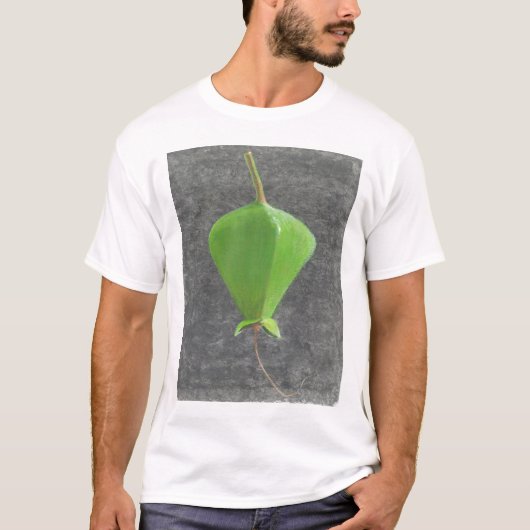 Barringtonia Acutangula Tシャツ (正面)