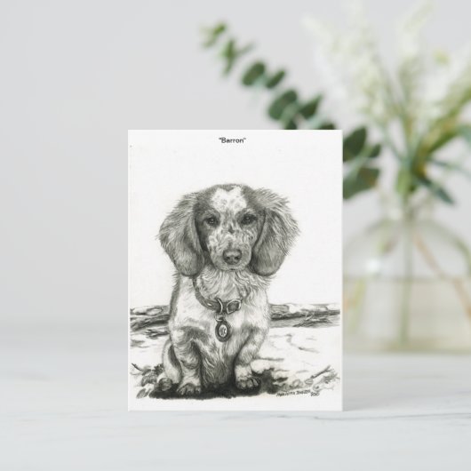 Barron ポストカード (スタンド正面)