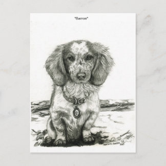 Barron ポストカード