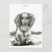 Barron ポストカード (正面)