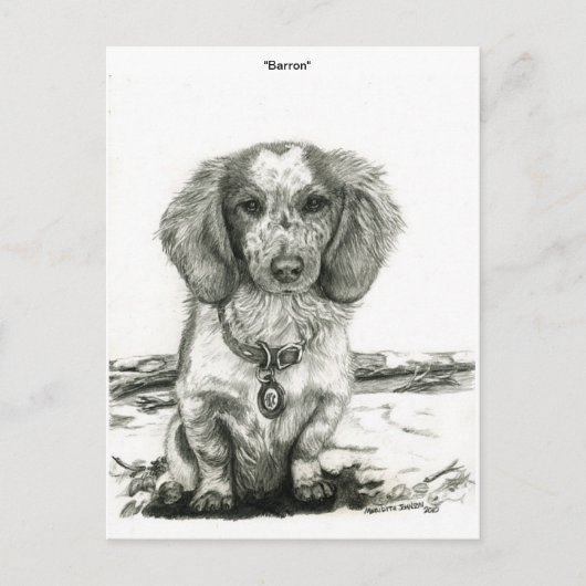 Barron ポストカード (正面)