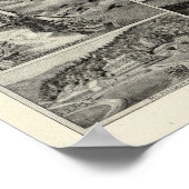 Barron & Merrill's White Mountain houses, NH ポスター (角)