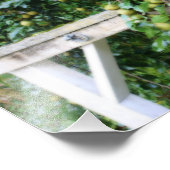 Bartlett Pears On Tree Orton Art 8x10 フォトプリント (角)