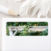 Bartlett Pears On Tree Orton Effect Address ラベル (インサイチュ)