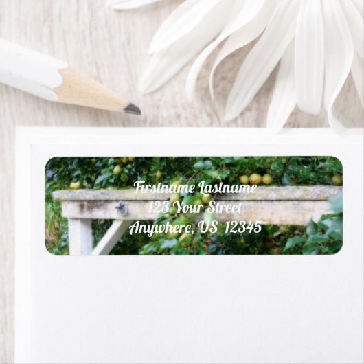 Bartlett Pears On Tree Orton Effect Address ラベル (インサイチュ)