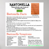 Bartonella Information Fact Sheetポスター ポスター (正面)