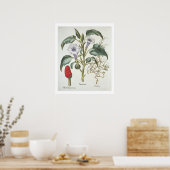 Basの「Hortus Eystettensis」からThorn Apple ポスター (キッチン)