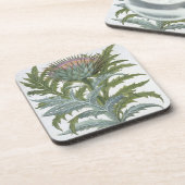 Bas著「Hortus Eystettensis」からのCardoon、 コースター (左側)